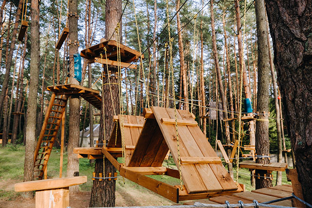 an outdoor playground in a wood