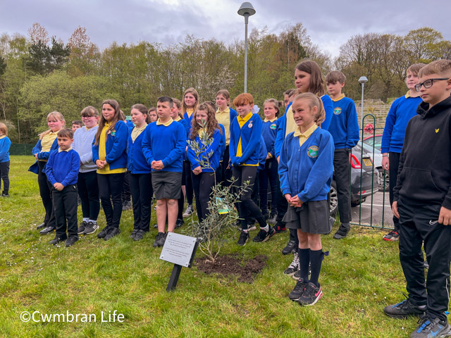 Pupils stood by the olive tree planted for Stephen Lawrence Day