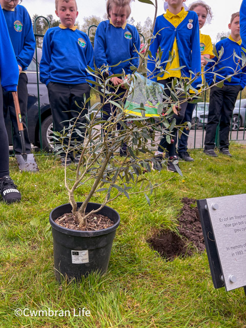 an olive tree with children stood next to it