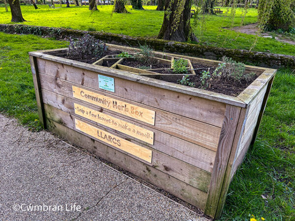 ‘Snip a few leaves to make a meal’: Public herb garden in Cwmbran