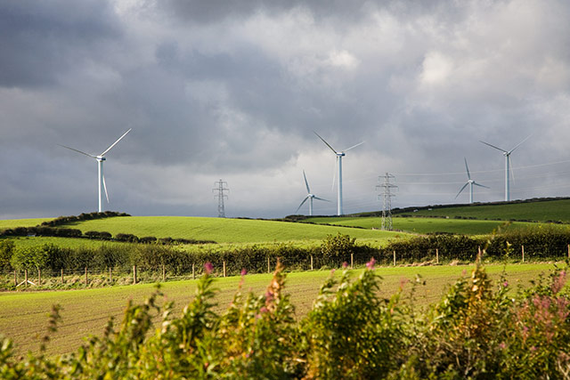 wind turbines in a field