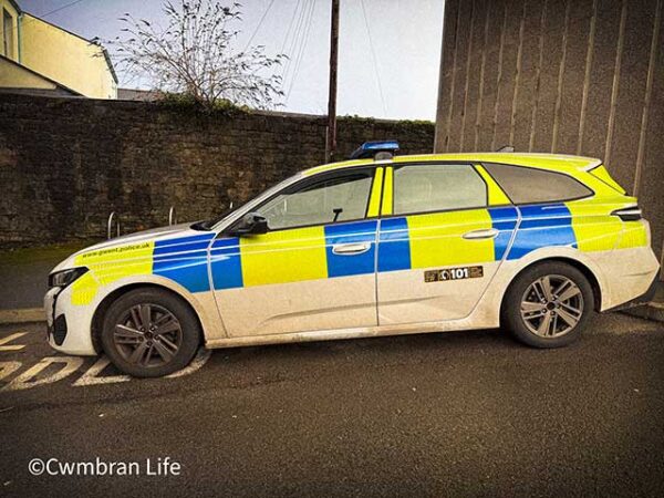 Gwent PCSOs sent to violent incidents and road traffic accidents