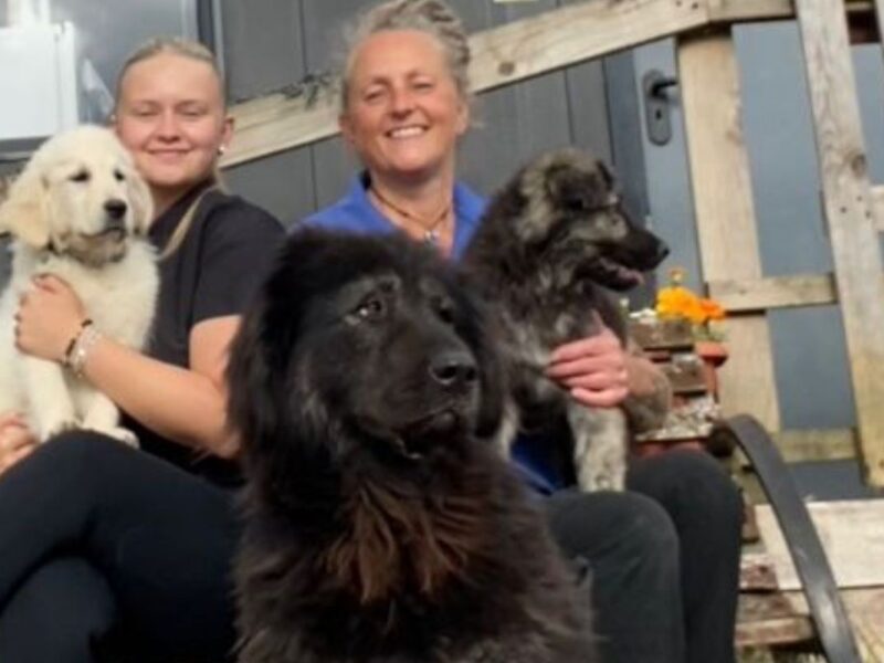 two women and two dogs