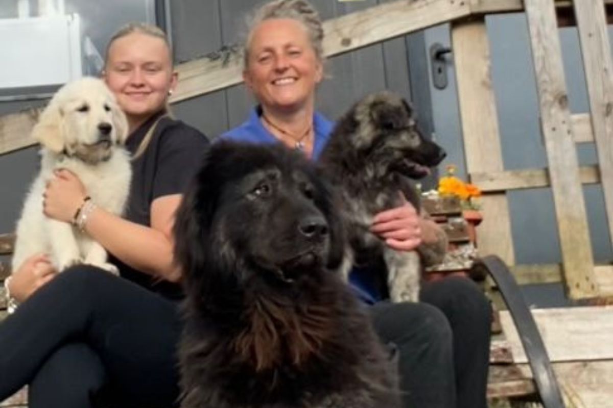 two women and two dogs