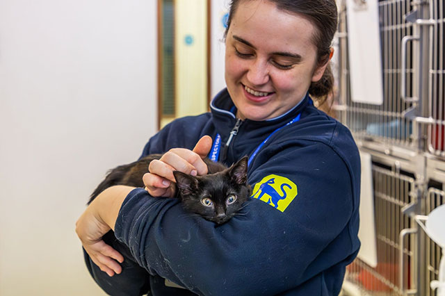 a woman holds a cat
