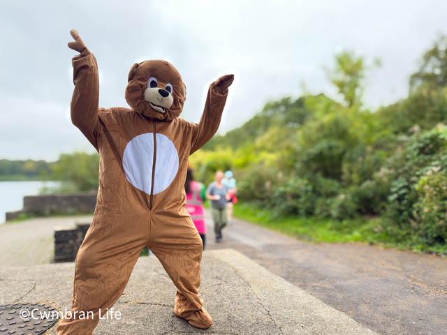 a boy dressed up in a bear outfit