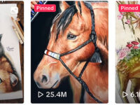 Teenage artist with 1.3m TikTok followers has art portfolio stolen in Cwmbran