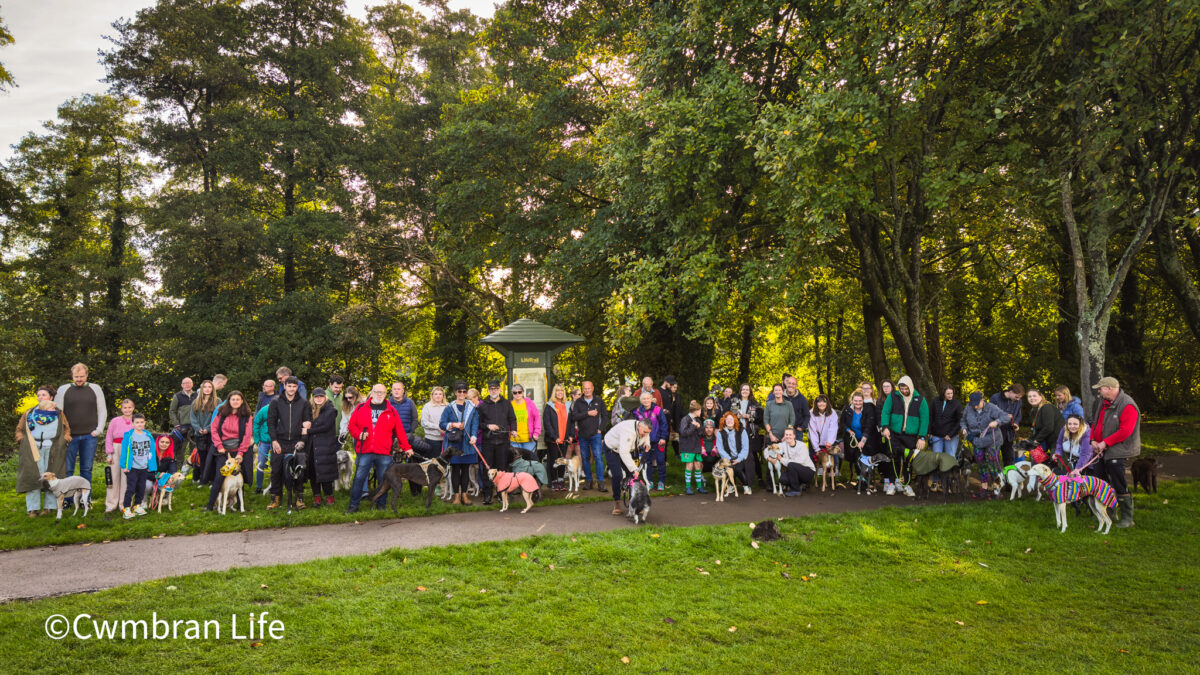 a large group of people with their dogs