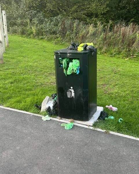 a bin overflowing with litter and dog poo bags