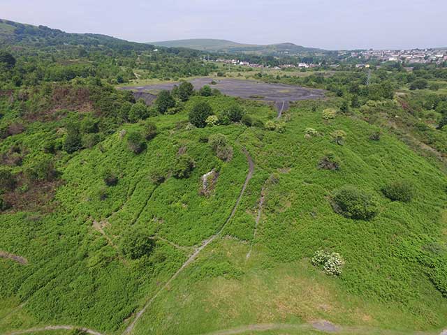 a large grassed open area