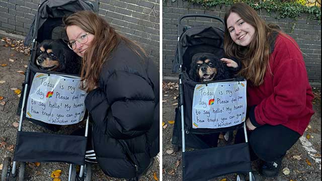 Two photos of a dog in a pram, with a woman