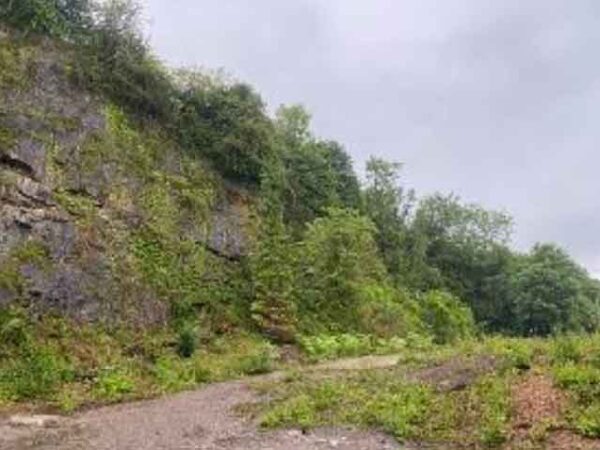 Applicant appeals against Cwmynyscoy Quarry planning rejection