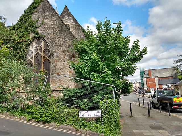 a church with overgrown trees around it