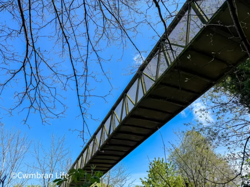 Council faces renewed calls to make Cwmbran Boating Lake bridge accessible