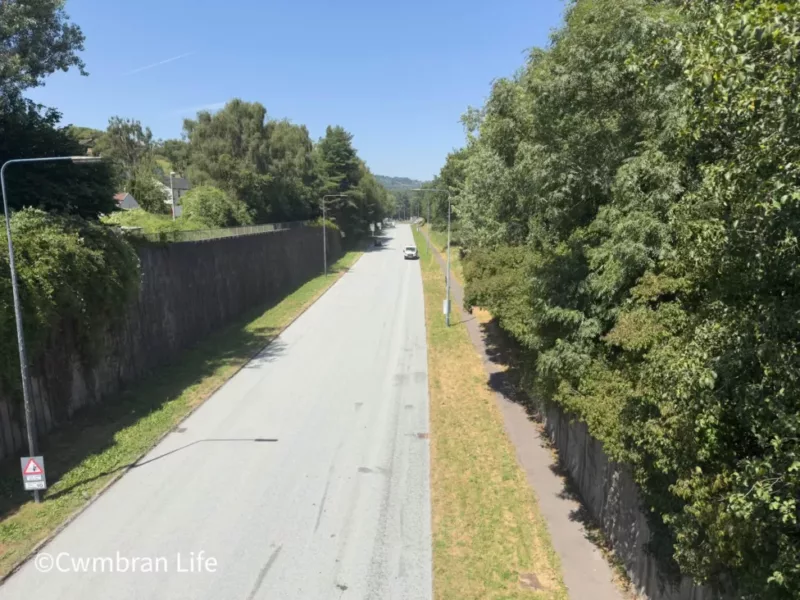 a road with trees along the right side
