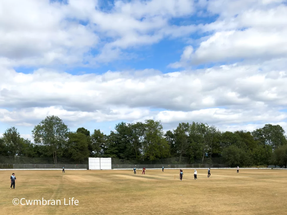 players in a cricket match on a sunny day